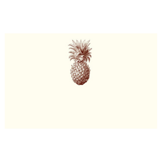Pineapple Place Cards
