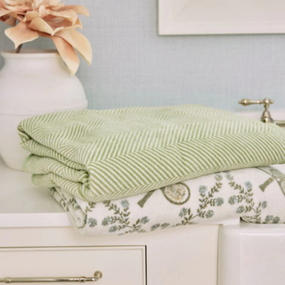 Harborview Herringbone Garden Green Blanket