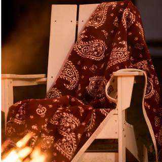 Palmer Paisley Throw Blanket