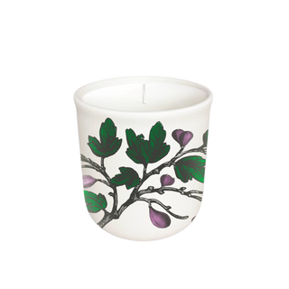 Fig Tree Candle