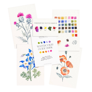 Watercolor Painting Kit: Wildflowers No.2