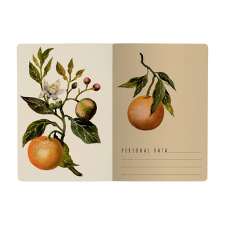 Oranges and Blossoms Notebook