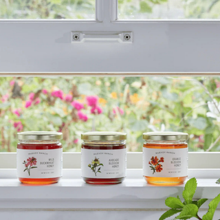 Mini Honey Gift Pack