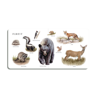 Our Big Book of Animals