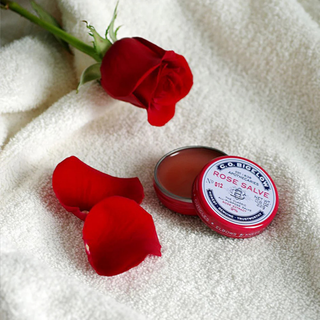 All-Purpose Salve Lip Tin
