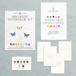 Mini Watercolor Painting Kit: Butterflies