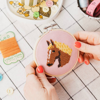 Horse Beginner Cross Stitch Kit