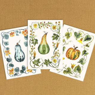 Mini Watercolor Kit: Gourds