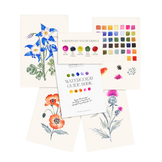 Watercolor Painting Kit: Wildflowers No.2
