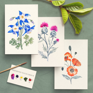 Watercolor Painting Kit: Wildflowers No.2