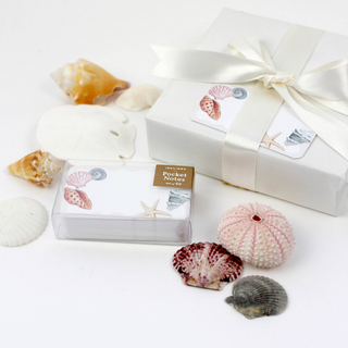 Seashells Pocket Notes
