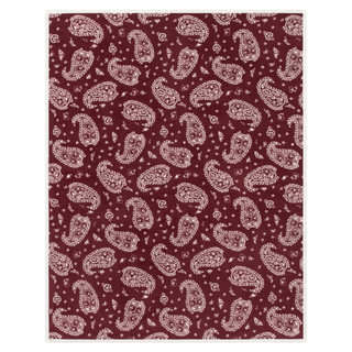 Palmer Paisley Throw Blanket