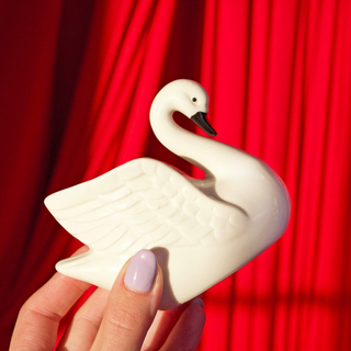 Swan Match Striker