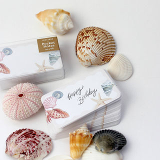 Seashells Pocket Notes