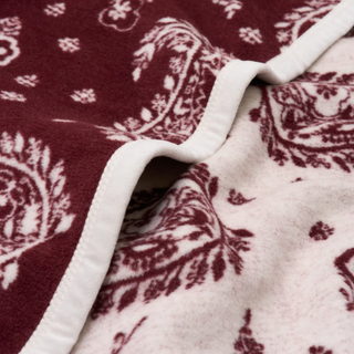 Palmer Paisley Throw Blanket