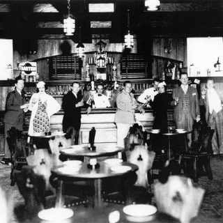 Storied Bars of New York