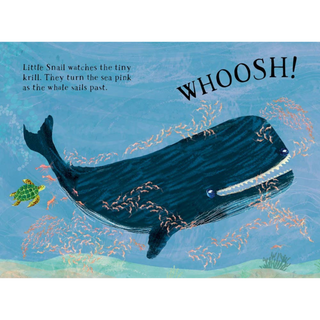 Little Turtle's Book of the Blue