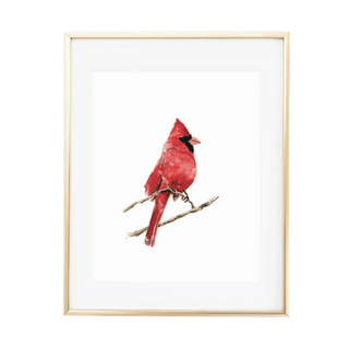 Cardinal Bird Watercolor Wall Art Print
