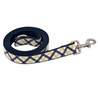The Mountaineer Dog Leash