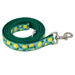 The Lemoncello Dog Leash