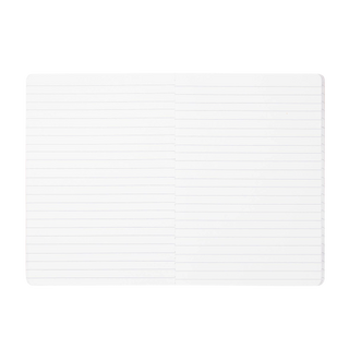 Assorted Triple Notebook Set